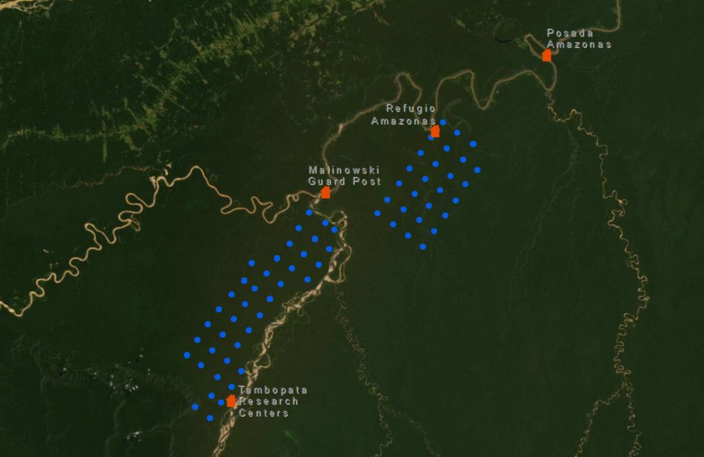 Big Grid Map in Tambopata