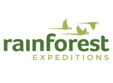 Rainforest Expeditions