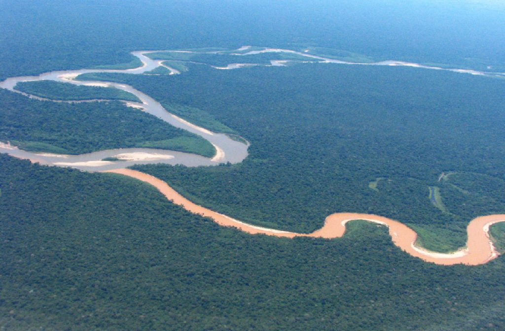 meandering in the amazon