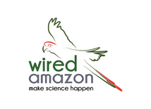 Wired Amazon