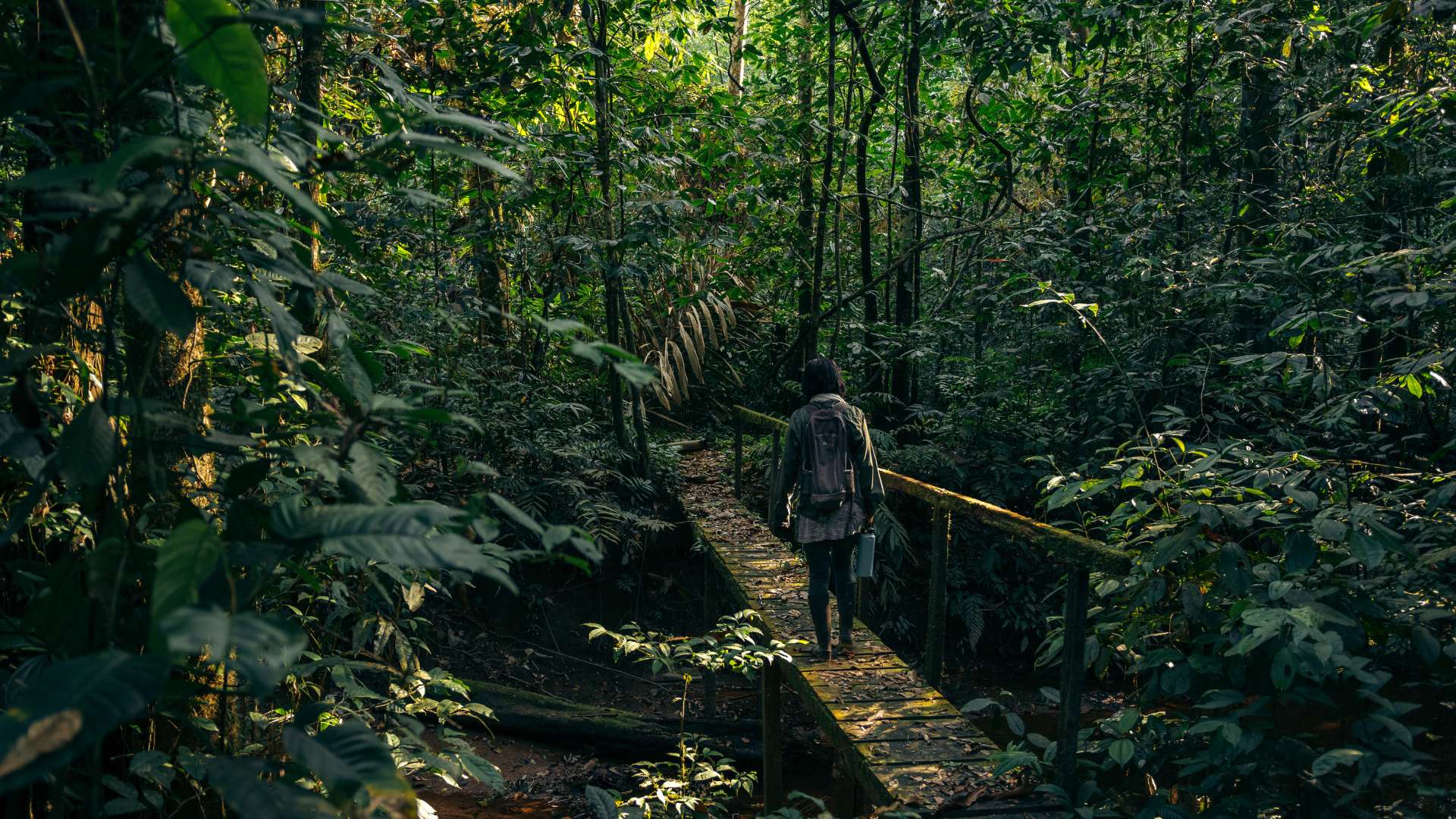 A day in the life of an 8 Primates project trainee in Tambopata